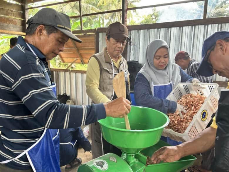 Limbah Udang dan Ikan Disulap Jadi Pakan Ternak Murah di Tarakan